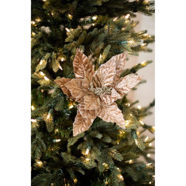 MTX54157-TAUP 24" GLITTER EDGE V (10308)