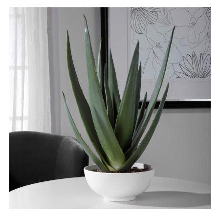 60177 EVARADO ALOE PLANTER