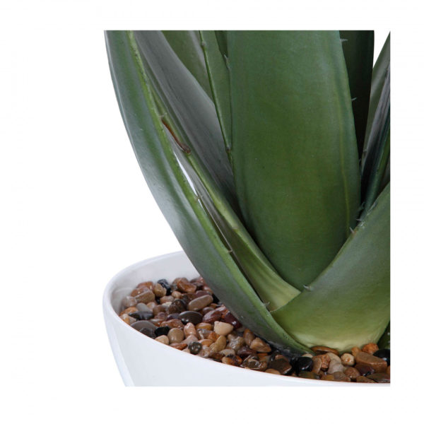60177 EVARADO ALOE PLANTER - Image 3