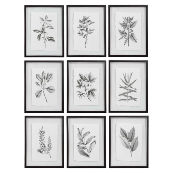 41617 PRINTS - Image 2