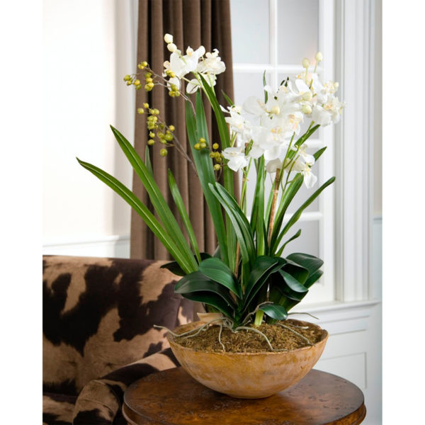 60039 PLANTER MOTH ORCHID PLANTER (11416) - Image 2