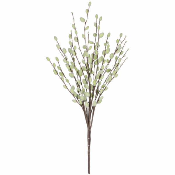 27948BH PUSSYWILLOW BUSH DK GR PK12 (10244)