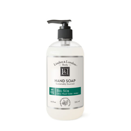 501205 HAND SOAP BIG SUR (11177)