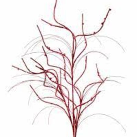 MTX62145-RED SPRAY 32" GLITTER CURLY WILLOW (11262)