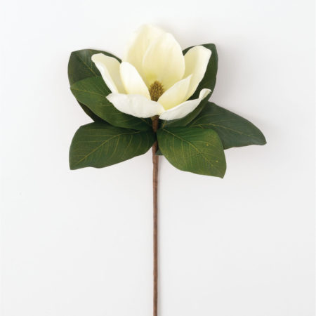 GA1393 MAGNOLIA STEM 13"Lx11" Wx18.5