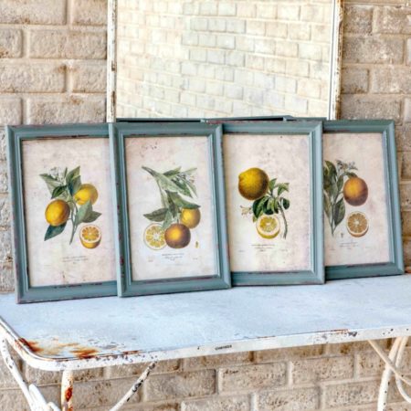 EWA90018 CITRUS BLOSSOM FRAMED P (11207)