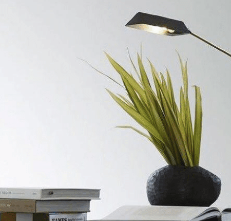 Desk Lamps