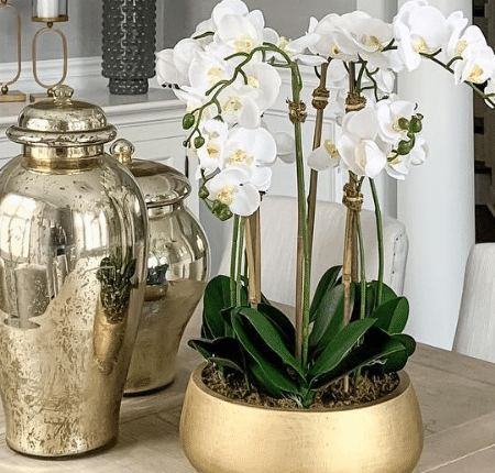 Decorative Bottles-Canisters