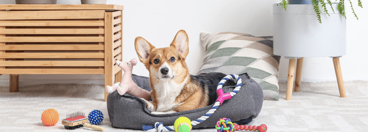 Pet Beds